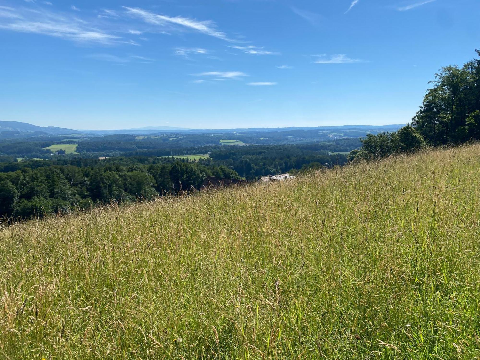 Wohnen Zwischen Golf Und Therme Bad Waltersdorf Eksteriør billede