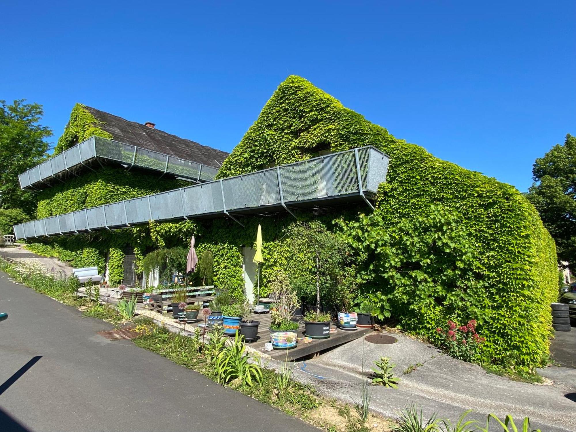 Wohnen Zwischen Golf Und Therme Bad Waltersdorf Eksteriør billede